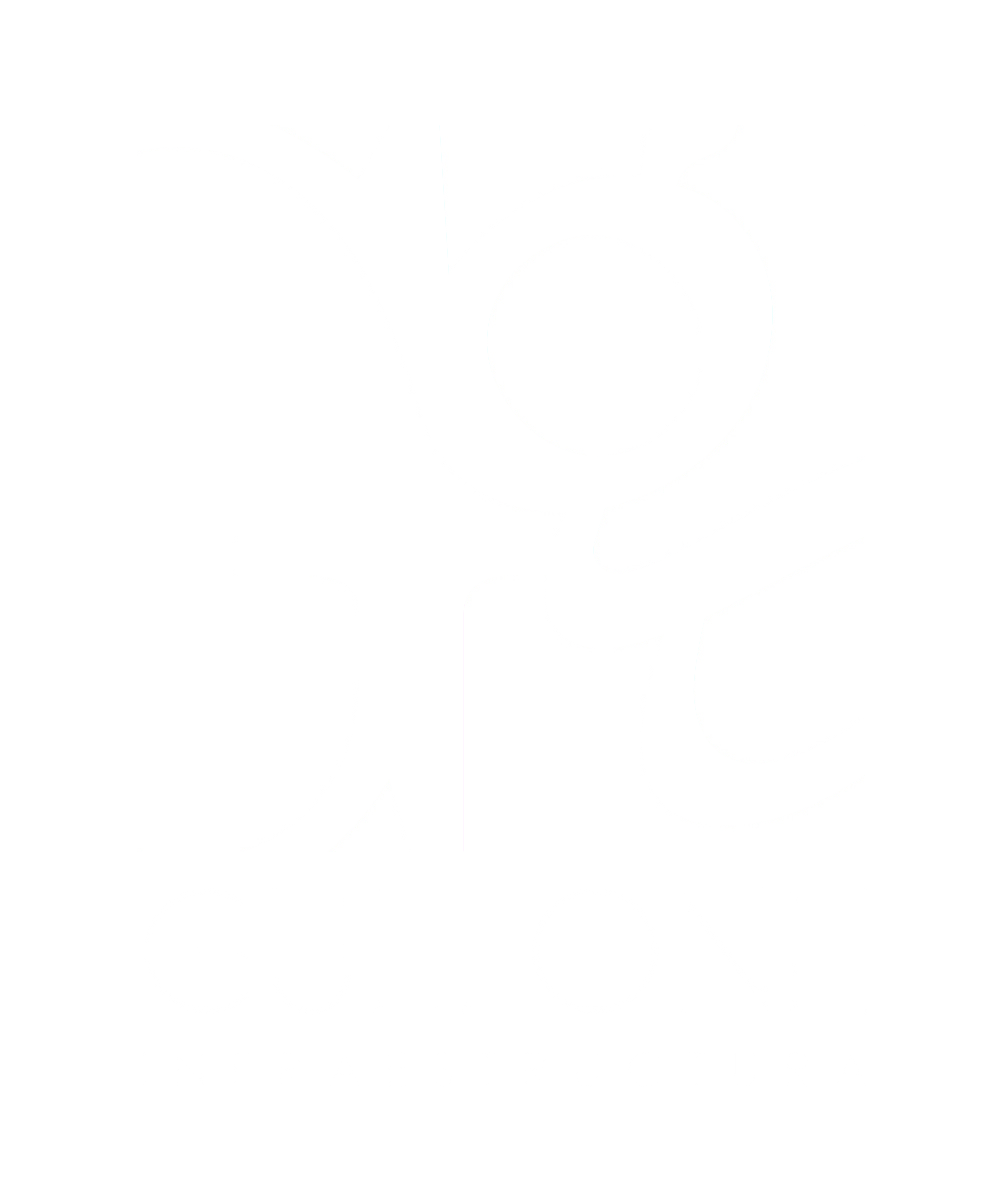 ggullone infraestructuras